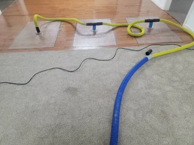 Rescue mat drying - Wood floor